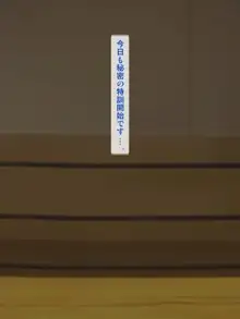 熟女子プロレスリング ROUND 7, 日本語