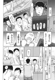 排卵しちゃうじゃんっ, 日本語