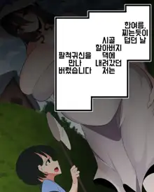 팔척귀신 보태배 출산 관람, 한국어