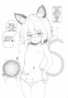 Kozukuri Jouzu na Nazrin Senpai | 아이 만들기가 능숙한 나즈린 선배, 한국어