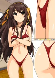 Haruhi Lingerie Collection 01, 日本語