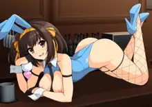 Haruhi Lingerie Collection 01, 日本語