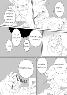 Amy Rose hentai comic, English