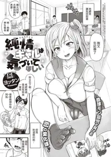 Junjou Gal wa Kiduite Hoshii, 中文