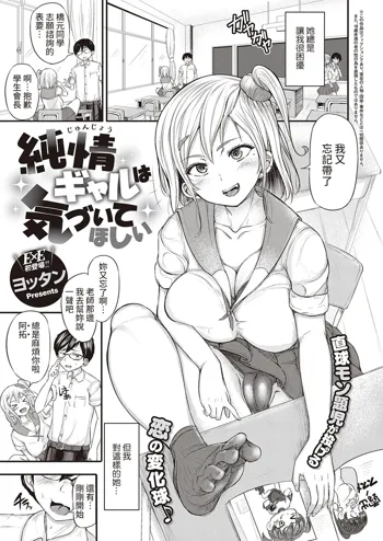 Junjou Gal wa Kiduite Hoshii, 中文