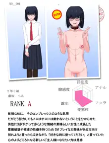 モブ地味娘コキ捨てレポート, 日本語