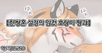 Tsugai Kon Settei no Mesu Tora-chan to, 한국어