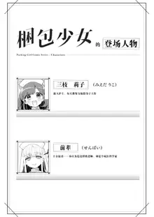 Konpou Shoujo 11, 中文