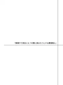 エルフにひどいことしたい悪徳商人のお話, 日本語