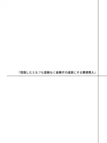 エルフにひどいことしたい悪徳商人のお話, 日本語