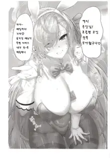 BluArch Bunny-tachi to Ichaicha Ecchi Suru Hon. | 블루아카 바니들이랑 으쌰으쌰 엣찌하는 책., 한국어