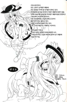 Touhou Youjo Ranbu 9 | 동방 요녀 난무 9, 한국어