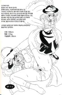 Touhou Youjo Ranbu 9 | 동방 요녀 난무 9, 한국어