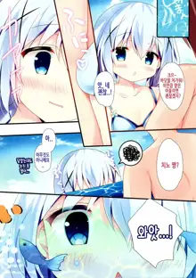 Chino-chan to Bikini to Umi to | 치노 쨩하고 비키니랑 바다랑, 한국어