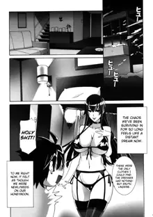 Highschool of the Dead Complete Works, English