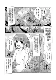 少女と山遊び, 日本語