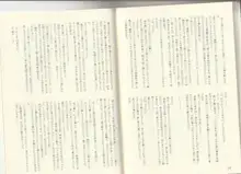 魔の色時代のダイアリー2, 日本語