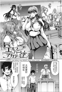 Elf Harem Academia, 中文