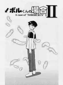 窓のない部屋, 日本語