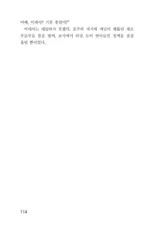 메이플의 에로책 Vol.1, 한국어