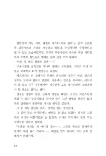 메이플의 에로책 Vol.1, 한국어