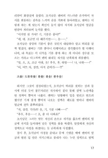 메이플의 에로책 Vol.1, 한국어