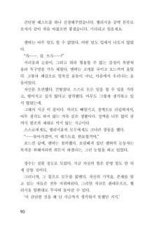 메이플의 에로책 Vol.1, 한국어