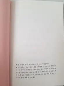 메이플의 에로책 Vol.2, 한국어