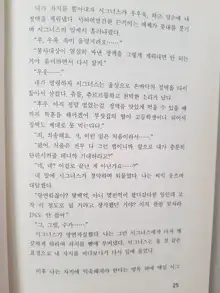 메이플의 에로책 Vol.2, 한국어