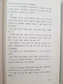 메이플의 에로책 Vol.2, 한국어