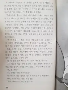 메이플의 에로책 Vol.2, 한국어