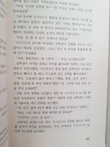 메이플의 에로책 Vol.2, 한국어