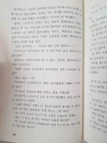 메이플의 에로책 Vol.2, 한국어