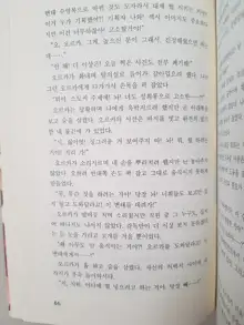 메이플의 에로책 Vol.2, 한국어