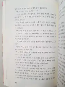 메이플의 에로책 Vol.2, 한국어