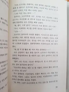 메이플의 에로책 Vol.2, 한국어