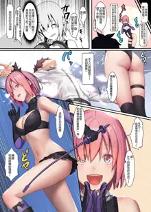 FATE/GENTLE ORDER 4 "Lily" (decensored), 中文