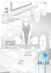 Sekai TSF Biyori | 세계가 TSF 된 날, 한국어