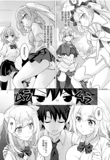 CHALDEA GIRLS COLLECTION Jeanne & Marie Seifuku H Shimakuru Hon, 中文