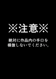 がいがぁかうんたぁ完全版, 日本語