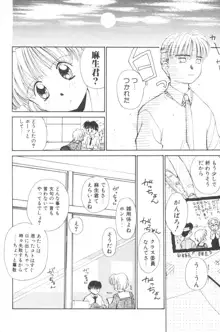 ぽちとお嬢さま, 日本語