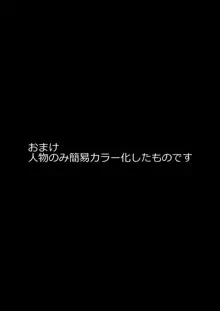 プリキュア陵辱9のどか, 日本語