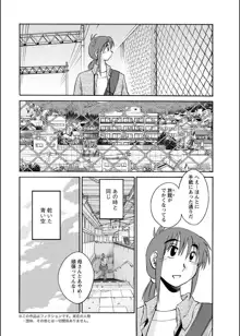 ひるがお 第1-40話, 日本語