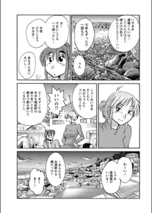 ひるがお 第1-40話, 日本語