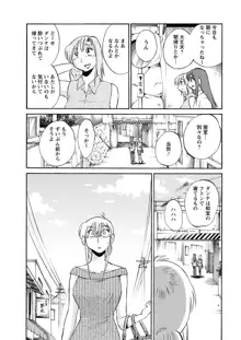 ひるがお 第1-40話, 日本語