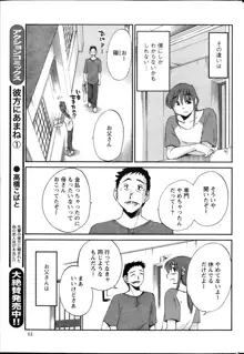 ひるがお 第1-40話, 日本語