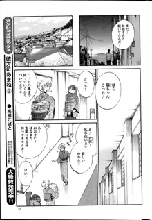 ひるがお 第1-40話, 日本語