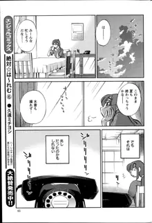 ひるがお 第1-40話, 日本語