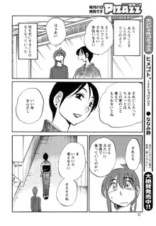 ひるがお 第1-40話, 日本語