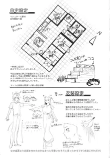 至純なる想念., 日本語